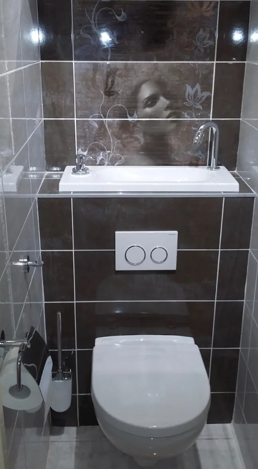 WC suspendu avec lave-mains intégré installé dans des toilettes carrelées